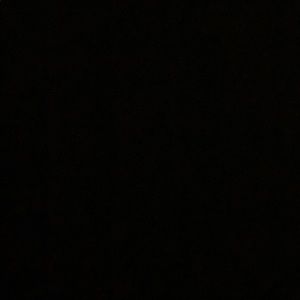 Meet your Posher, Brody